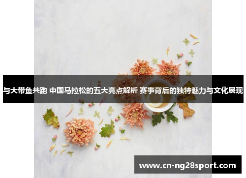 与大带鱼共跑 中国马拉松的五大亮点解析 赛事背后的独特魅力与文化展现