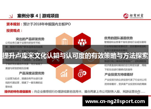 提升卢库米文化认知与认可度的有效策略与方法探索