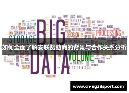 如何全面了解安联赞助商的背景与合作关系分析